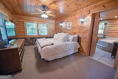 2682 Douthit Road, Mineral Bluff, GA 30559 - Photo 15