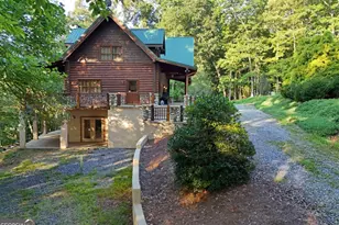 2682 Douthit Rd, Mineral Bluff, GA 30559 - Photo 59