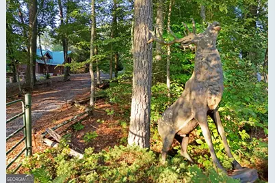 2682 Douthit Road, Mineral Bluff, GA 30559 - Photo 1