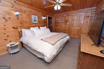 2682 Douthit Road, Mineral Bluff, GA 30559 - Photo 45