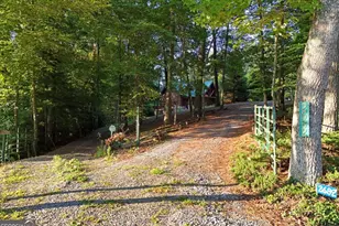 2682 Douthit Rd, Mineral Bluff, GA 30559 - Photo 55