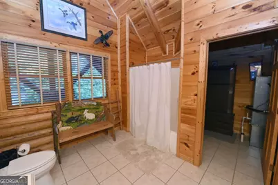 2682 Douthit Road, Mineral Bluff, GA 30559 - Photo 47