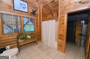 2682 Douthit Rd, Mineral Bluff, GA 30559 - Photo 47