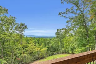 35 Homestead Dr, Mineral Bluff, GA 30559 - Photo 47