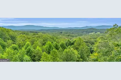 35 Homestead Drive, Mineral Bluff, GA 30559 - Photo 75