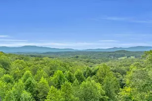 35 Homestead Dr, Mineral Bluff, GA 30559 - Photo 75