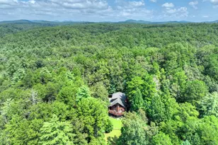 110 Bear Pause Rd, Morganton, GA 30560 - Photo 23