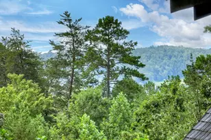 110 Bear Pause Rd, Morganton, GA 30560 - Photo 47