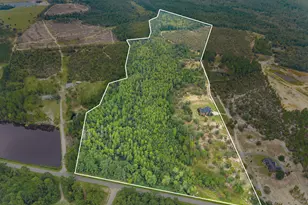 14450 Stillmore Hwy, Metter, GA 30439 - Photo 3
