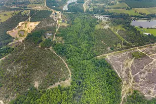 14450 Stillmore Hwy, Metter, GA 30439 - Photo 43