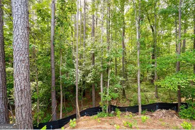 235 Paces Overlook Trace, Dallas, GA 30157 - Photo 35