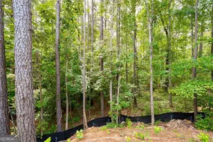 235 Paces Overlook Trce, Dallas, GA 30157 - Photo 35