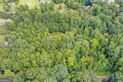 113 Hickory Trail, Cumming, GA 30040 - Photo 9