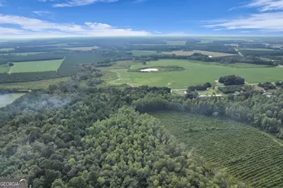 0 K'ville Road, Screven, GA 31560 - Photo 5