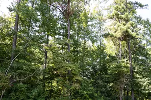 337 Cranmore Pl, Villa Rica, GA 30180 - Photo 7