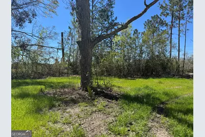 1505 W 4th St Extension, Alma, GA 31510 - Photo 21