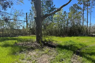 1505 W 4th St Ext, Alma, GA 31510 - Photo 21