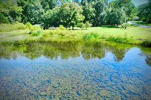 223 Trinity Rd, Dublin, GA 31021 - Photo 13