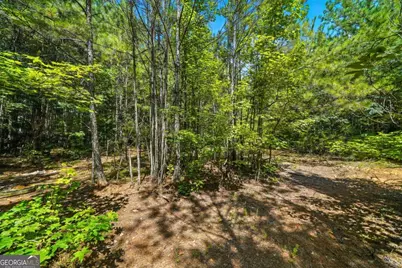 0 Sleepy Hollow Drive, Powder Springs, GA 30127 - Photo 3