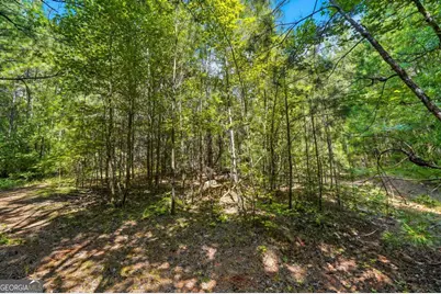 0 Sleepy Hollow Drive, Powder Springs, GA 30127 - Photo 7