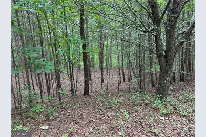 585 Galaxy Way, Ranger, GA 30734 - Photo 3