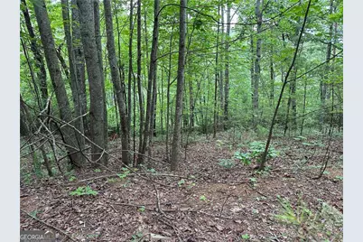 585 Galaxy Way, Ranger, GA 30734 - Photo 7