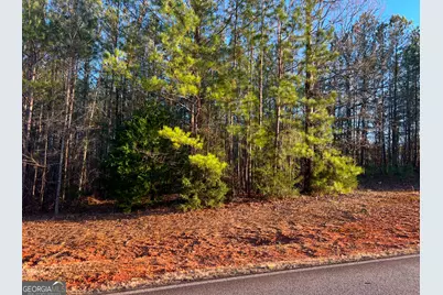 111 Gardens Drive, Forsyth, GA 31029 - Photo 1