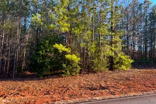 111 Gardens Dr, Forsyth, GA 31029 - Photo 1