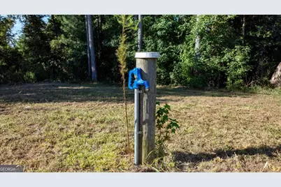1901 Grey Land Road, Greensboro, GA 30642 - Photo 33