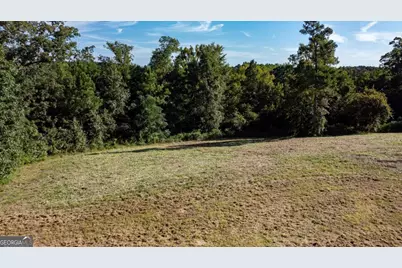1901 Grey Land Road, Greensboro, GA 30642 - Photo 29