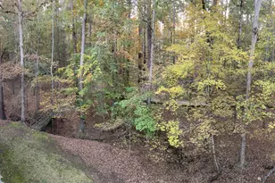 1020 Troublesome Creek Ln, Greensboro, GA 30642 - Photo 25