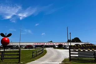 1583 Hickory Flat Rd, Gillsville, GA 30543 - Photo 77