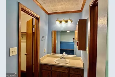 162 Olde Hampton Way, Hampton, GA 30228 - Photo 11