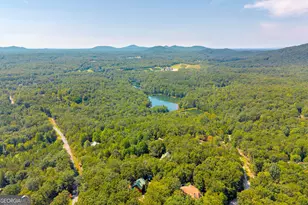 807 Satterfield Rd, Cleveland, GA 30528 - Photo 83