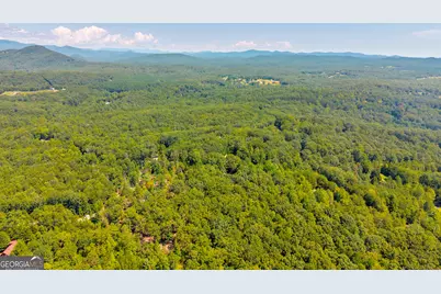 807 Satterfield Road, Cleveland, GA 30528 - Photo 69