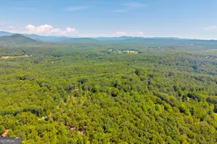 807 Satterfield Rd, Cleveland, GA 30528 - Photo 69