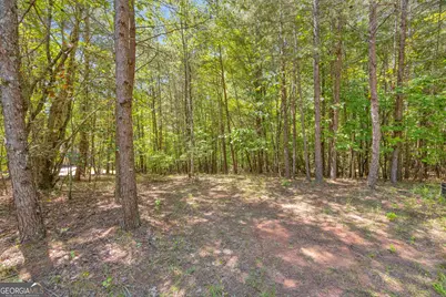 807 Satterfield Road, Cleveland, GA 30528 - Photo 87