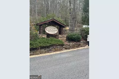 Lot 16R Leatherwood Mtn, Cherrylog, GA 30522 - Photo 3
