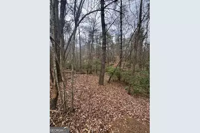 Lot 16R Leatherwood Mtn, Cherrylog, GA 30522 - Photo 9