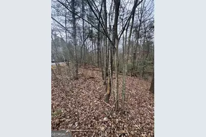 Lot 16R Leatherwood Mtn, Cherrylog, GA 30522 - Photo 7