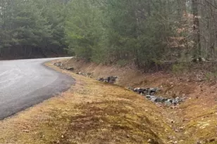 Lot 16R Leatherwood Mountain, Cherrylog, GA 30522 - Photo 1