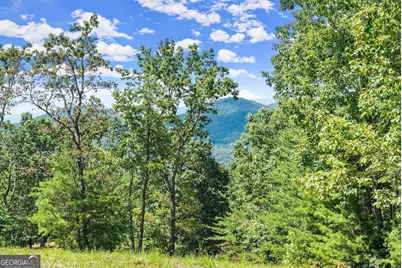 0 Helton Road, Cleveland, GA 30528 - Photo 17