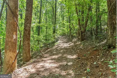 0 Helton Road, Cleveland, GA 30528 - Photo 33