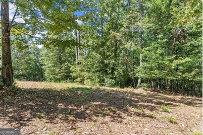 0 Helton Road, Cleveland, GA 30528 - Photo 29