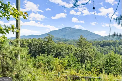 0 Helton Road, Cleveland, GA 30528 - Photo 9