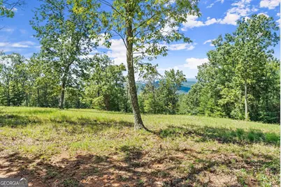 0 Helton Road, Cleveland, GA 30528 - Photo 19