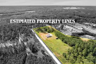 296 Beavers Rd, Grantville, GA 30220 - Photo 59