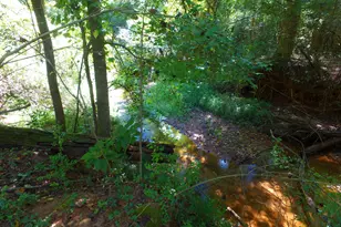 355 Dumas Rd, Forsyth, GA 31029 - Photo 51