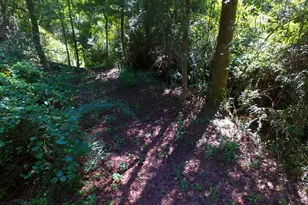 355 Dumas Rd, Forsyth, GA 31029 - Photo 45