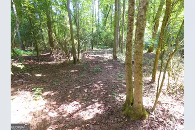 355 Dumas Road, Forsyth, GA 31029 - Photo 49